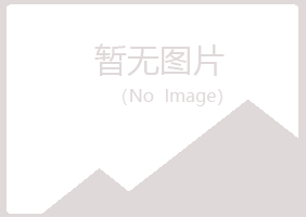 防城港小夏机械有限公司